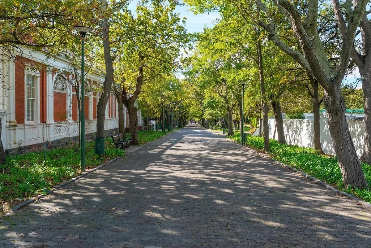 Apartment Stylish, Modern, New, Secure Home Cape Town